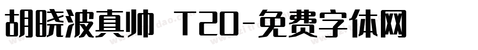 胡晓波真帅 T20字体转换